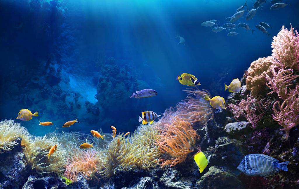 Gardaland Sea Life Aquarium