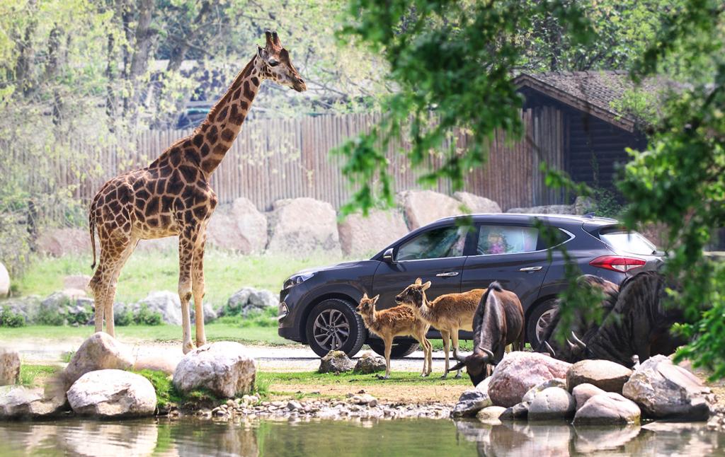 Parco Natura Viva