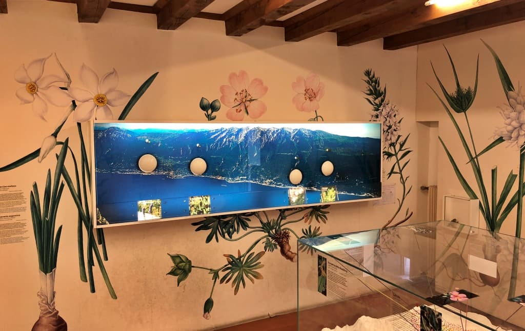Museo di Storia Naturale del Baldo e del Garda