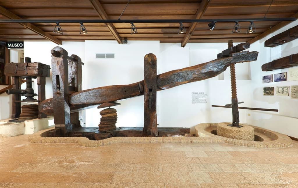 Museo dell'Olio