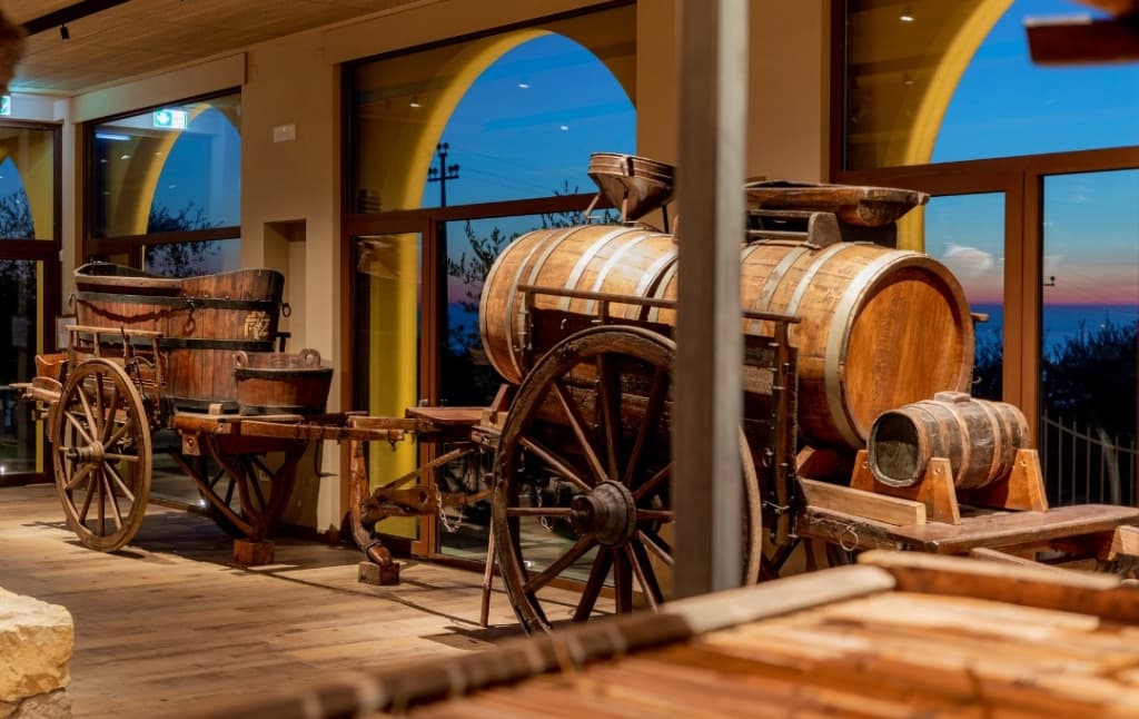 Museo del Vino