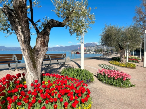 Lungolago di Bardolino